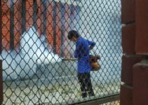 Remedios caseros para eliminar las chinches