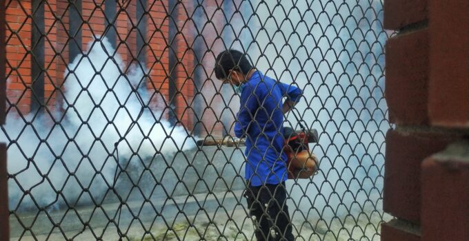 Remedios caseros para eliminar las chinches