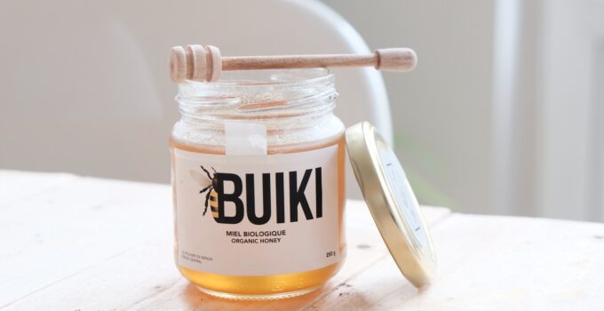 Métodos para eliminas las moscas