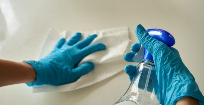 Como ahuyentar las chinches de casa