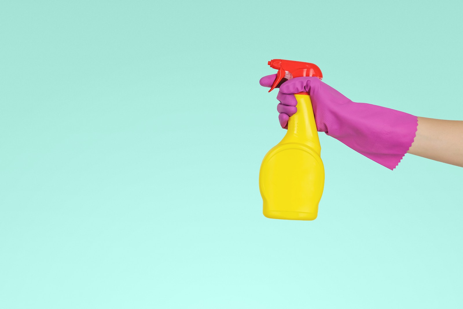 Métodos para eliminar los ácaros